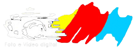 Nilton FotoNelson logo